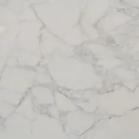 Calacatta di Carrara