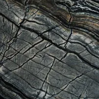 Black Wood