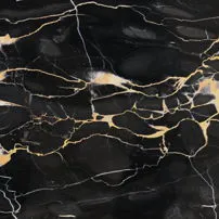 Black Portoro gold vein