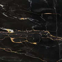 Black Portoro gold vein