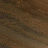 Elegant Brown