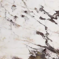Breccia Capraia