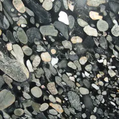 Marinace Black
