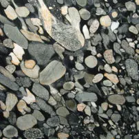Marinace Black