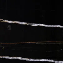 Sahara Noir