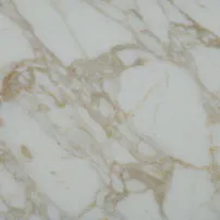 Calacatta Oro
