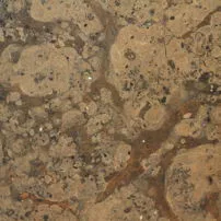 Marmo Noce di Asiago