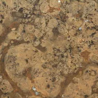 Marmo Noce di Asiago