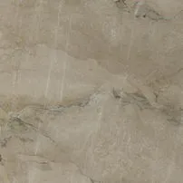 Camouflage Brown