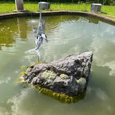 Sassi da giardino