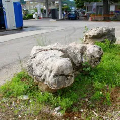 Sassi da giardino