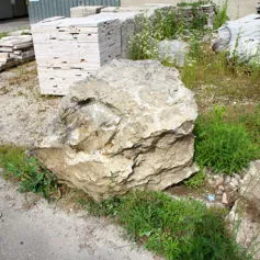 Sassi da giardino