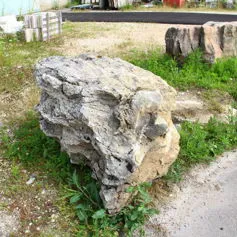 Sassi da giardino