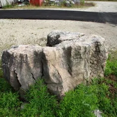 Sasso da giardino