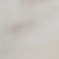 White Lasa Marble