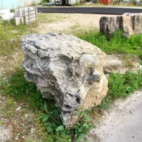 Garden stones