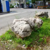 Garden stones