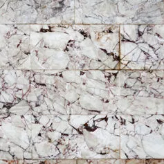 Pavimento in marmo Breccia Capraia