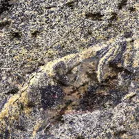 Granite Azul Bahia