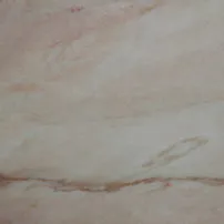 Rosa del Portogallo