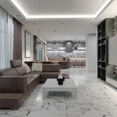 Marble living rooms<br>