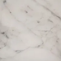 Calacatta Altissimo