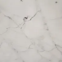 Calacatta Altissimo