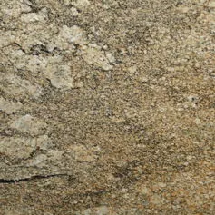 Classic Juparana Granite