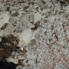 Granito Antique White