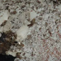 Granito Antique White