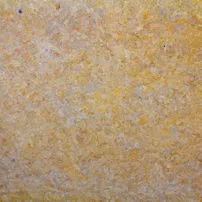 Maremma Yellow