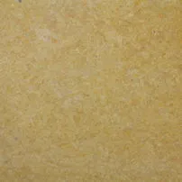 Maremma Yellow