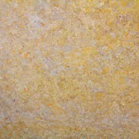 Maremma Yellow