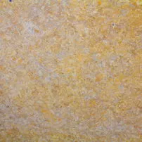 Maremma Yellow