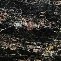 Black Portoro gold vein