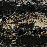 Black Portoro gold vein