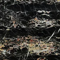 Black Portoro gold vein