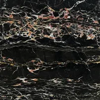 Black Portoro gold vein