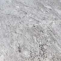 Alaska White