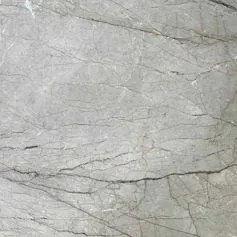 Silver Roots