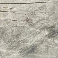 Silver Roots