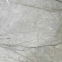 Silver Roots