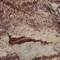 Rouge du roi