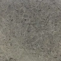 Fossil Lotus Grey