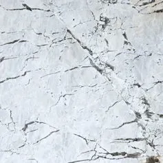 Picasso White