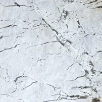 Picasso White