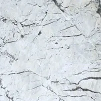 Picasso White