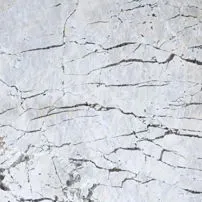 Picasso White