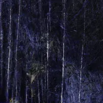 Sodalite