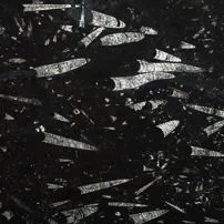 Marmo Nero Fossile